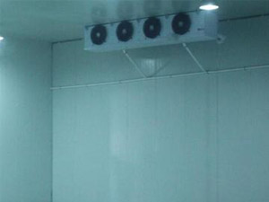 三個小技巧，輕松辨別真假冷庫安裝公司